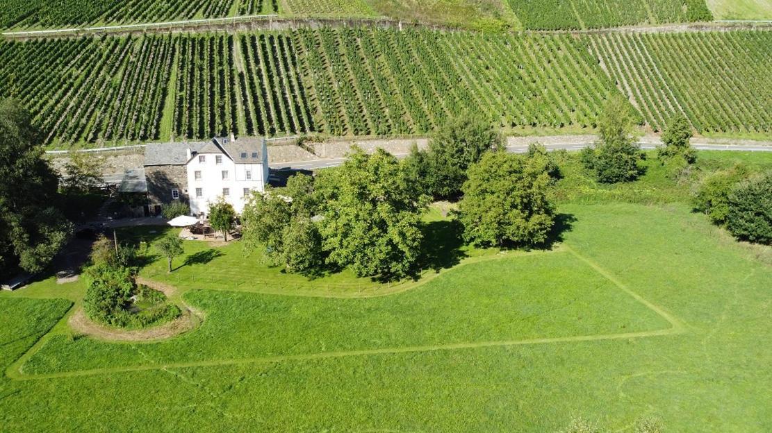 Livi'S Landhaus Neumagen-Dhron Eksteriør bilde